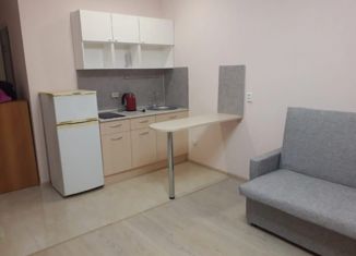 Сдаю в аренду квартиру студию, 25 м2, Мурино, улица Шувалова, 14, ЖК Созвездие