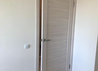 Продаю квартиру студию, 18.88 м2, Санкт-Петербург, Пискарёвский проспект, 165к2, Пискарёвский проспект