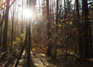 Продажа земельного участка, 17 сот., деревня Старки, деревня Старки, 45А