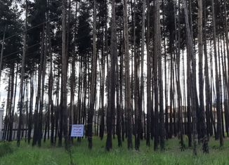 Продается участок, 30 сот., деревня Новоподклетное, улица Димитрова, 78