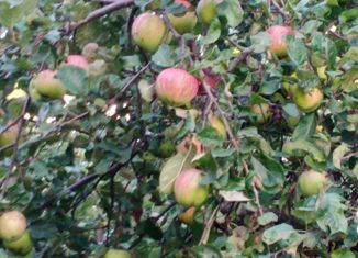 Дом на продажу, 127.4 м2, Апрелевка, садоводческое некоммерческое товарищество Красная Горка, 14