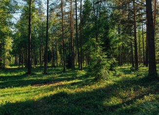 Продается участок, 12.6 сот., коттеджный посёлок Репино Парк, коттеджный посёлок Репино Парк, 568