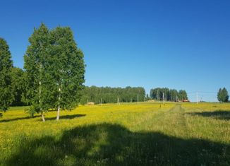 Продам земельный участок, 15 сот., село Гусиный Брод