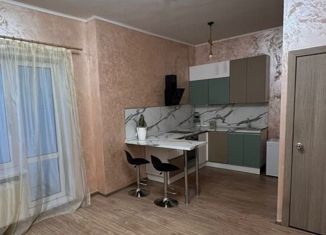 Продается квартира студия, 25.6 м2, село Нежинка, Фестивальная улица, 23