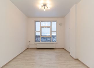 Продажа квартиры студии, 23.8 м2, Мурино, улица Шоссе в Лаврики, 67, ЖК Муринское-1