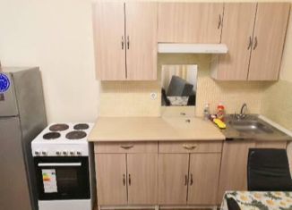 Квартира в аренду студия, 27 м2, деревня Кудрово, Европейский проспект, 13к1