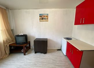 Продаю 1-комнатную квартиру, 16.4 м2, Владивосток, Ленинский район, проспект Красного Знамени, 133/3