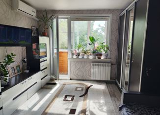 Продается однокомнатная квартира, 30 м2, Новосибирск, метро Золотая Нива, улица Есенина, 55/1