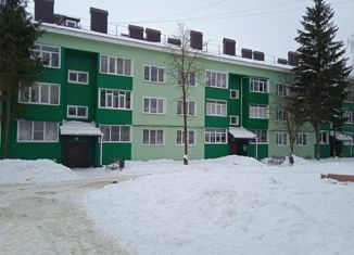 Продам двухкомнатную квартиру, 52 м2, деревня Берёзовка, Арзамасская улица, 29