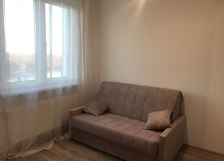 Сдаю в аренду квартиру студию, 20.4 м2, Санкт-Петербург, Муринская дорога, 10к1