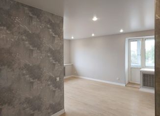 Продаю 1-комнатную квартиру, 41 м2, село Чигири, Красивая улица, 23А