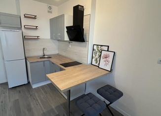 Квартира на продажу студия, 22.3 м2, Мурино, ЖК Северный, улица Шоссе в Лаврики, 72к4