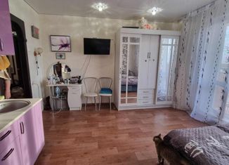 Продам квартиру студию, 24.5 м2, Копейск, улица Кирова, 10