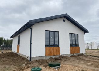 Продаю дом, 90 м2, деревня Беляницы, Луговая улица