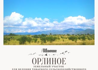 Продам земельный участок, 195 сот., село Орлиное