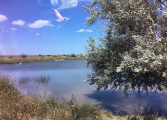 Продается земельный участок, 17 сот., село Фрунзе, площадь имени М.К. Дорохина