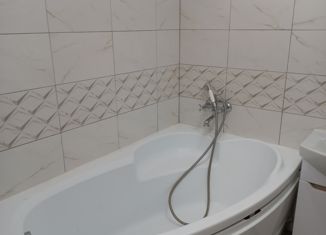 Аренда 2-комнатной квартиры, 44.4 м2, Екатеринбург, улица Циолковского, 27, ЖК Премьер