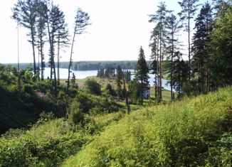 Земельный участок на продажу, 10 сот., деревня Сельцо, деревня Сельцо, 61