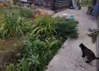 Продам дом, 27.5 м2, поселок Образцовый, Центральная улица, 53