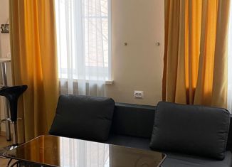 Однокомнатная квартира на продажу, 31.6 м2, Нижний Новгород, улица Гребешковский Откос, 3А, улица Гребешковский Откос