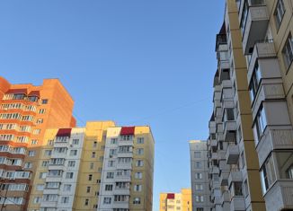 Продажа 1-комнатной квартиры, 38 м2, Железногорск, улица Ленина, 85