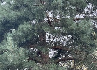 Участок на продажу, 6.13 сот., СНТ Русское поле