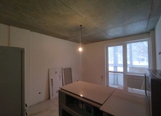 Продаю квартиру студию, 23.7 м2, Бор, 3-й микрорайон, 7