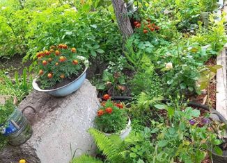 Дом на продажу, 68.8 м2, Челябинск, 16-я дорога, 2
