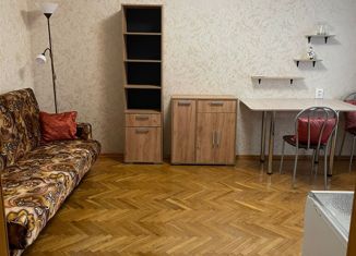 Квартира в аренду студия, 27 м2, Санкт-Петербург, Якорная улица, 3, метро Новочеркасская