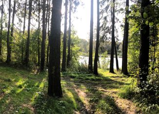 Продается участок, 500 сот., деревня Якунино