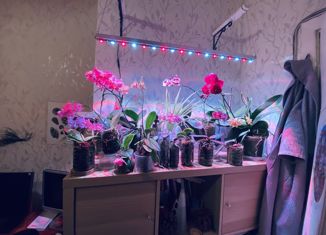 Продажа 3-комнатной квартиры, 74.8 м2, Санкт-Петербург, Новочеркасский проспект, 57к1, Новочеркасский проспект