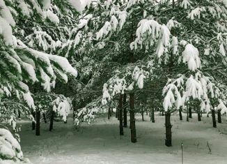 Продается земельный участок, 16.18 сот., коттеджный посёлок Академпарк