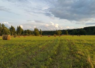 Продажа земельного участка, 458 сот., село Косулино, улица Ленина, 62Г