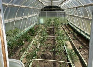 Продажа дома, 36 м2, участок Буринская Дача, Новая улица