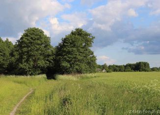 Продажа дома, 34 м2, Борковское сельское поселение