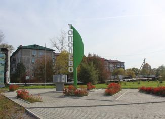 Продаю 1-комнатную квартиру, 31 м2, село Тополево, Школьная улица, 3