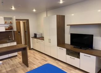 Продаю квартиру студию, 27.6 м2, Санкт-Петербург, улица Хошимина, 16, улица Хошимина