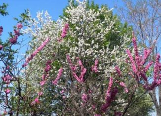 Продам дом, 70 м2, посёлок Приамурский, Садовая улица