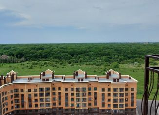 Продажа 2-комнатной квартиры, 55 м2, Ставрополь, микрорайон № 36, улица Матрены Наздрачевой, 3/3к1