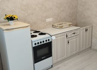 Продается однокомнатная квартира, 41 м2, посёлок Знаменский, Первомайская улица, 36/5, ЖК Первомайский