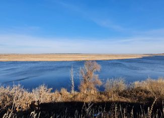 Продажа дома, 60 м2, село Любино-Малороссы, Старожильская улица, 10