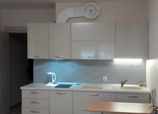 Продаю квартиру студию, 26.2 м2, Мытищи, проспект Астрахова, 9