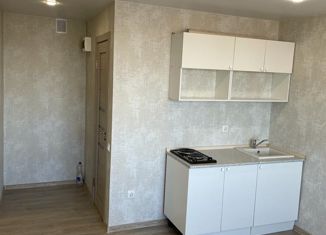 Продаю 1-комнатную квартиру, 17.3 м2, Казань, Авангардная улица, 87, Приволжский район