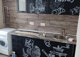 Продается однокомнатная квартира, 34 м2, село Косырёвка, Новая улица, 20