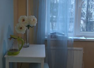 Аренда однокомнатной квартиры, 32 м2, Санкт-Петербург, проспект Науки, 14к4, муниципальный округ Академическое
