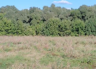 Продам участок, 10 сот., деревня Старые Чути