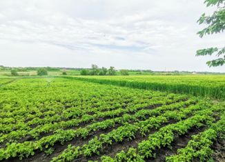 Продажа земельного участка, 32 сот., станица Юго-Северная, Южная улица