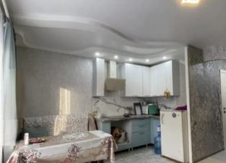 Продажа квартиры студии, 23 м2, село Каменки, Новая улица, 14/1