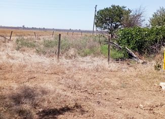 Продаю участок, 7000 сот., Вересаевское сельское поселение