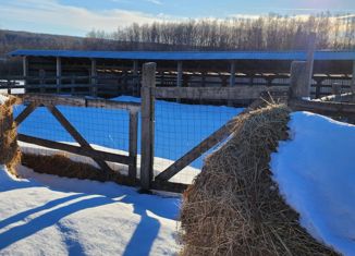 Продается дом, 90 м2, деревня Русиново, деревня Русиново, 14